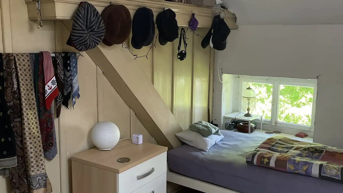 Single room for rent - 8400 Winterthur - Photo 2