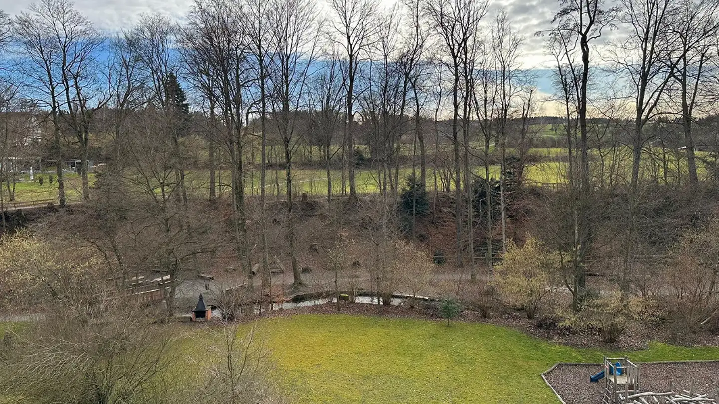 Apartment for rent - Hellmühlestrasse 18, 8580 Amriswil - Photo 2