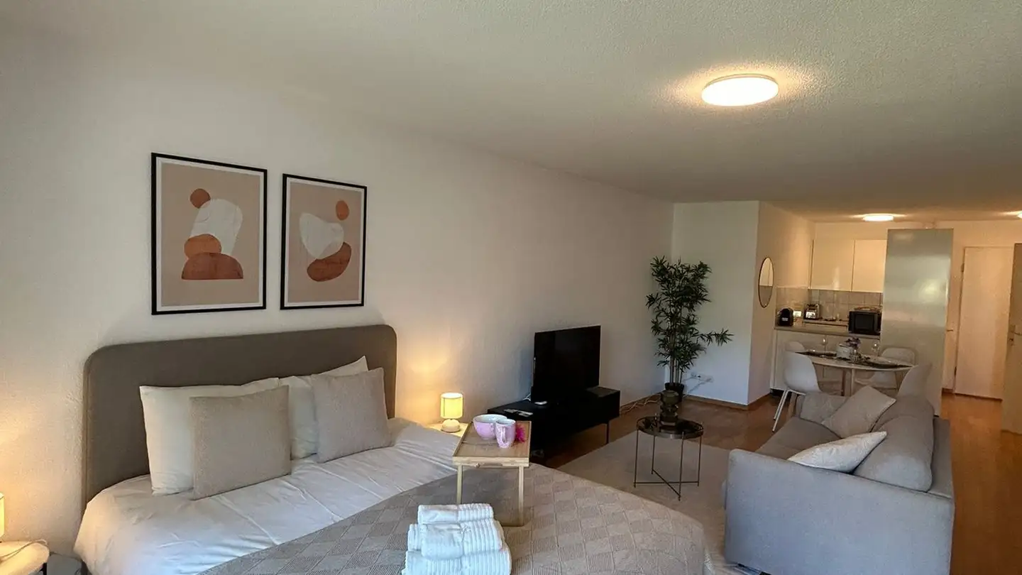 Furnished apartment for rent - Neugasse 83, 8005 Zürich