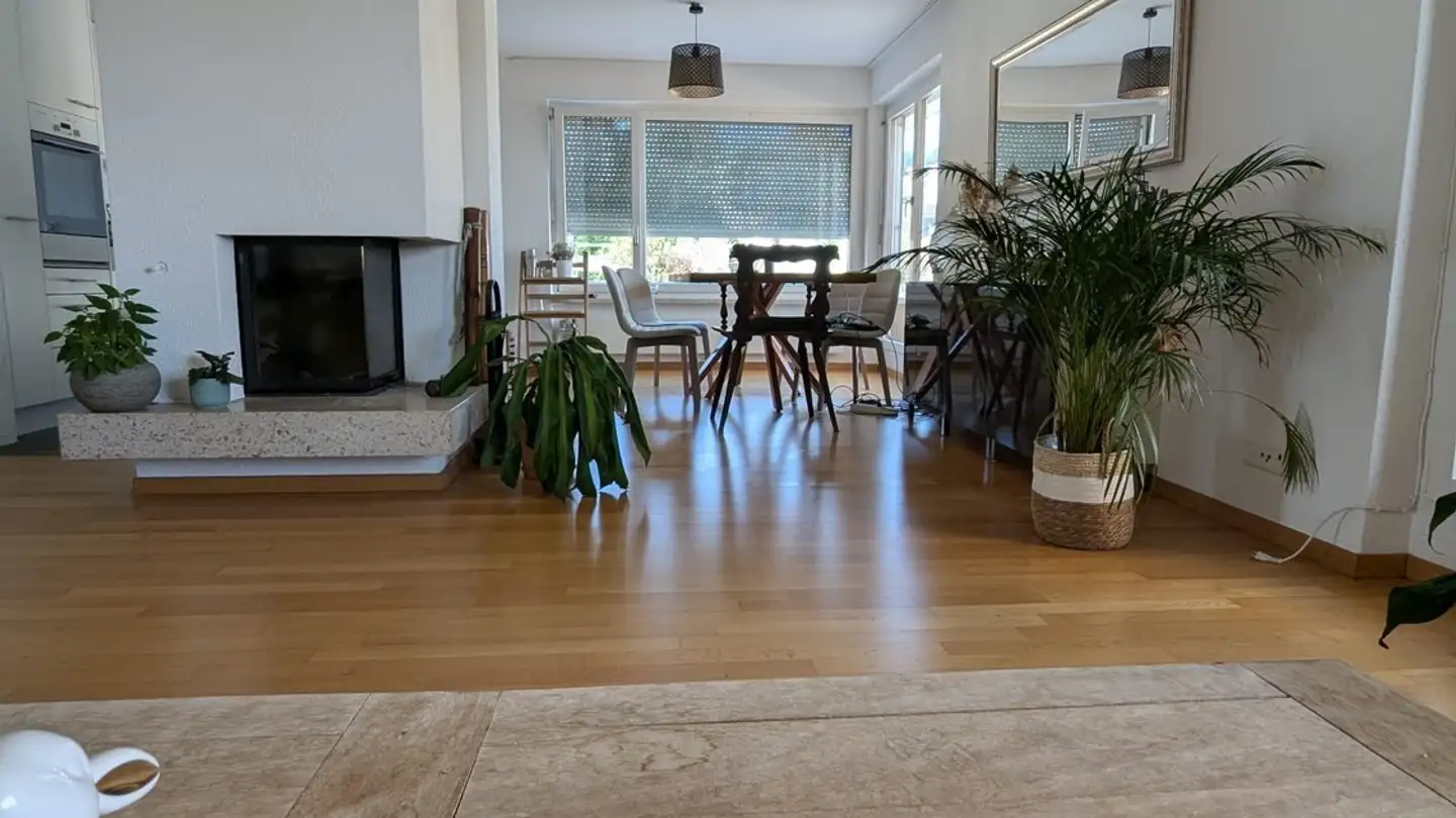 Furnished apartment for rent - Im Isisbüel 1, 8800 Thalwil - Photo 3