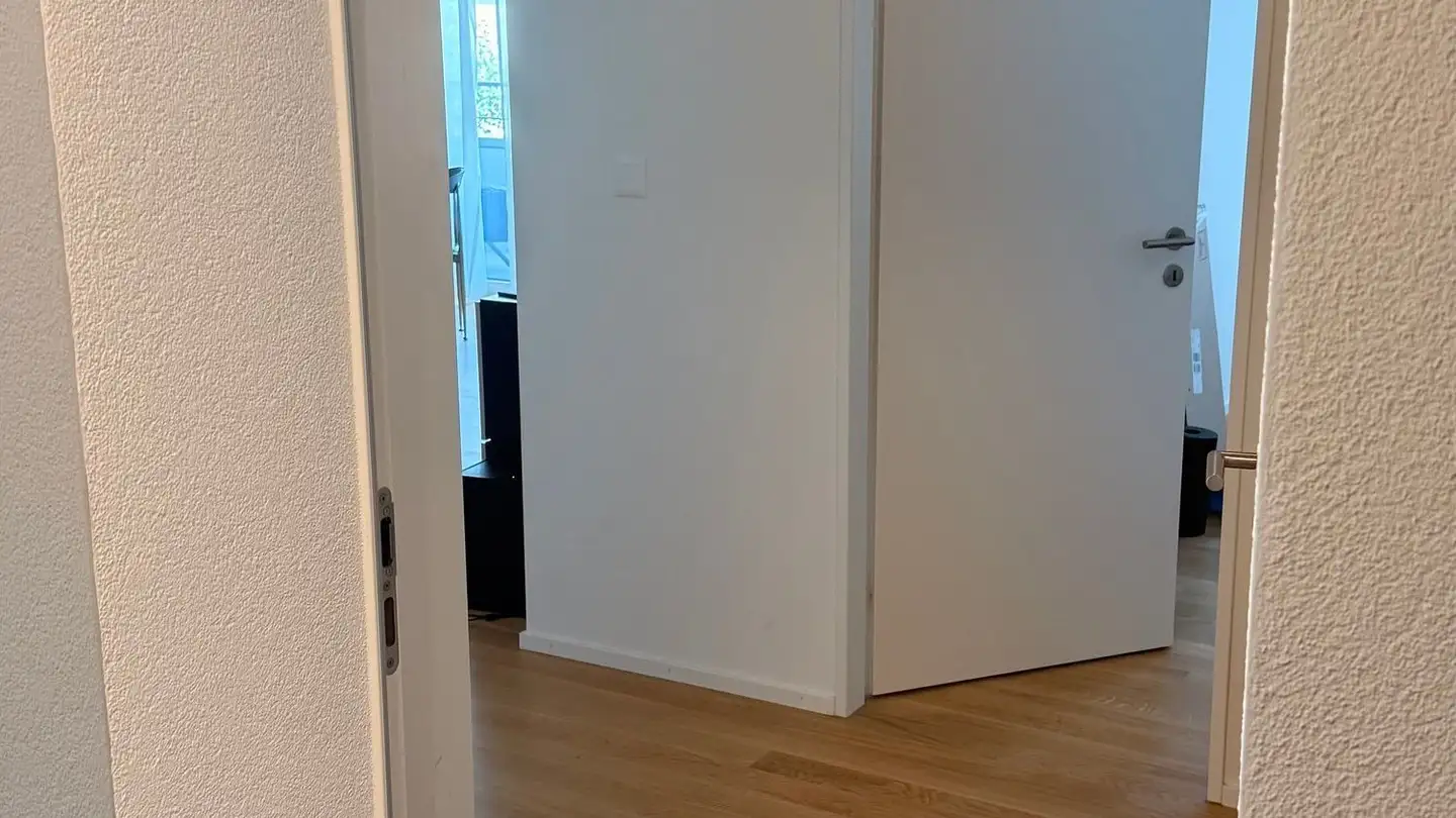 Furnished apartment for rent - Luegislandstrasse 265, 8051 Zürich - Photo 4