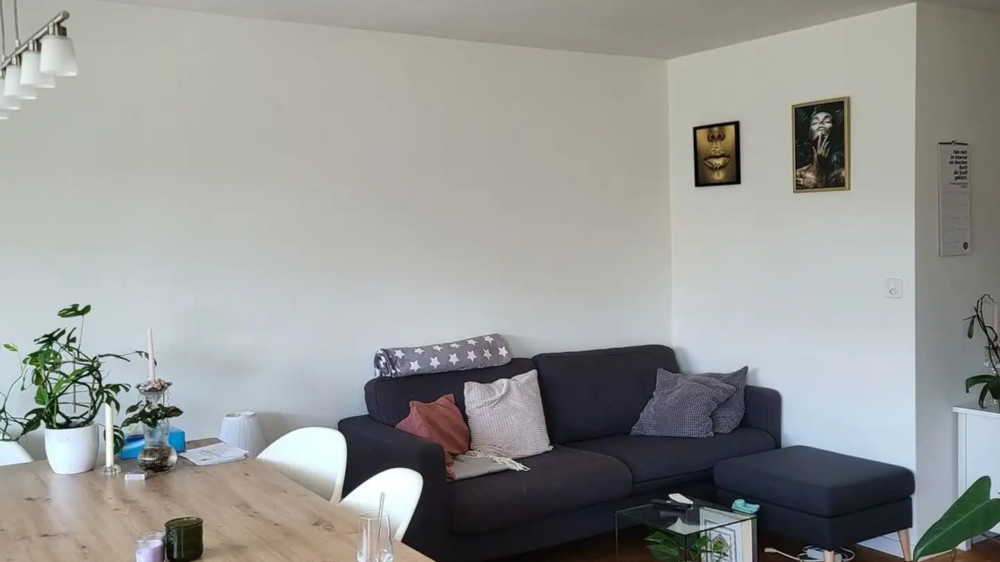Stanza singola in affitto - 8405 Winterthur