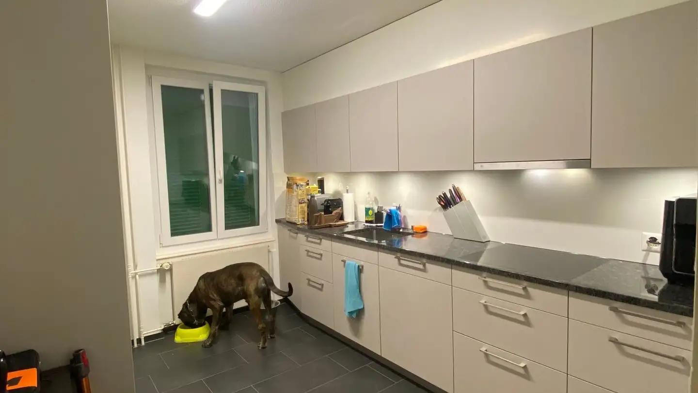 Appartamento in affitto - Alte Strasse 9, 8247 Flurlingen