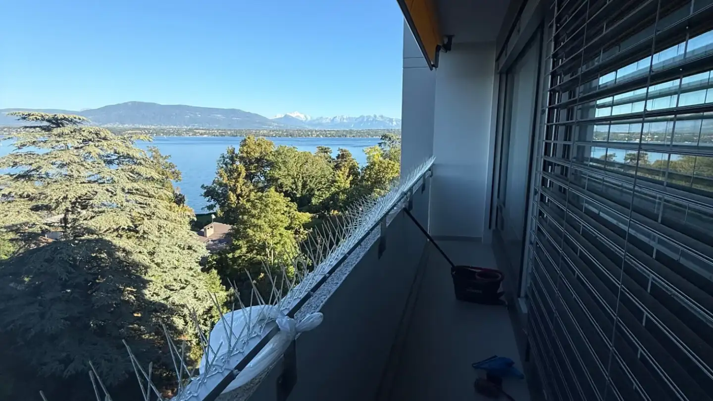 Appartement à louer - 1290 Chavannes-des-Bois - Photo 4