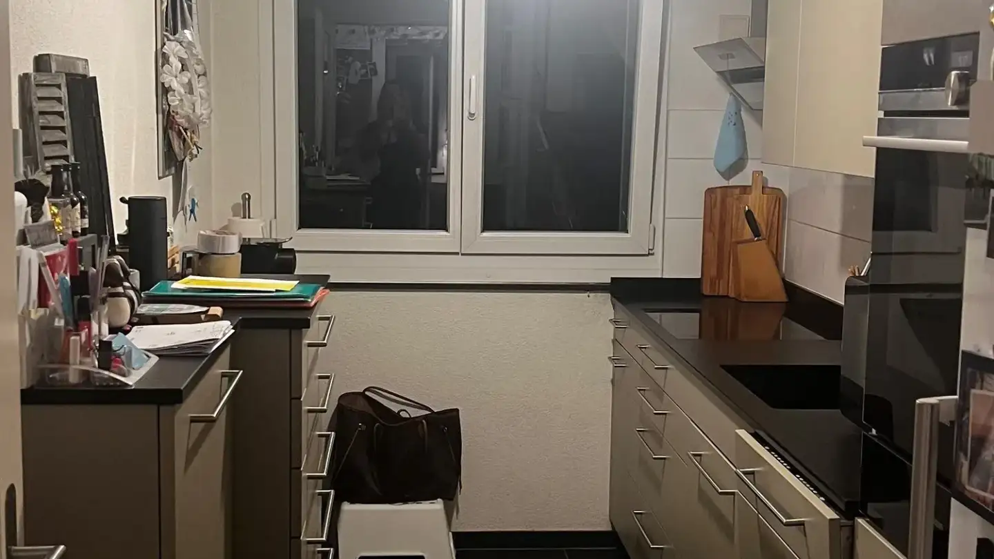 Appartement à louer - Rebbergstrasse 14, 8706 Meilen - Photo 3