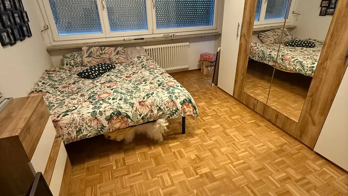 Appartement à louer - Via Cortivallo 35, 6900 Lugano