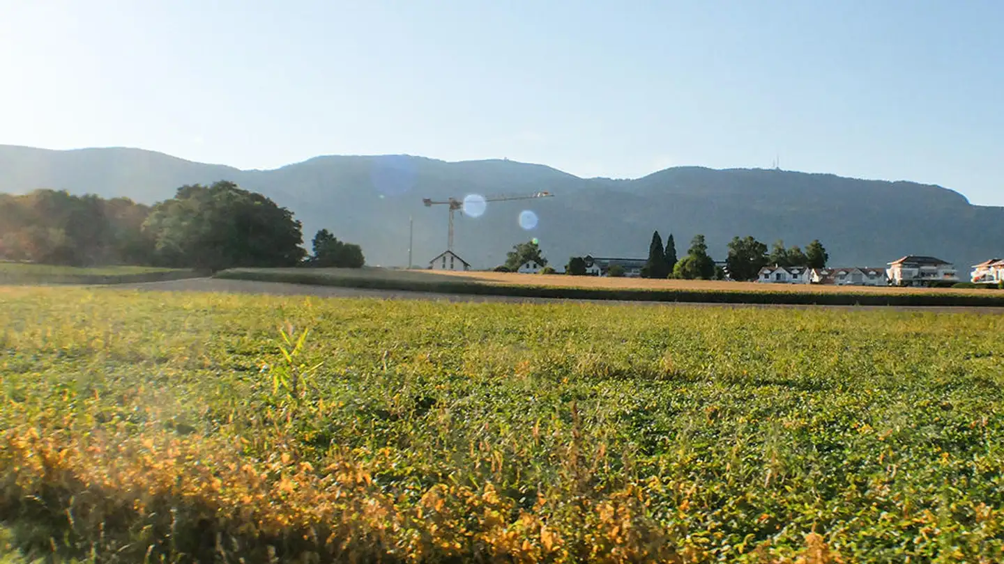 Villa for sale - 1290 Versoix