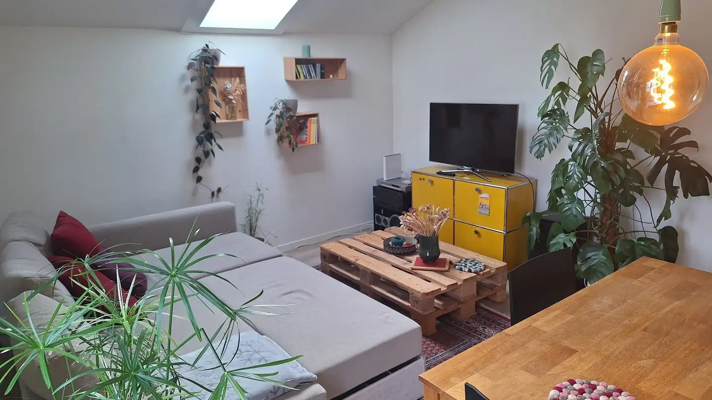 Appartement à louer - 6052 Hergiswil NW