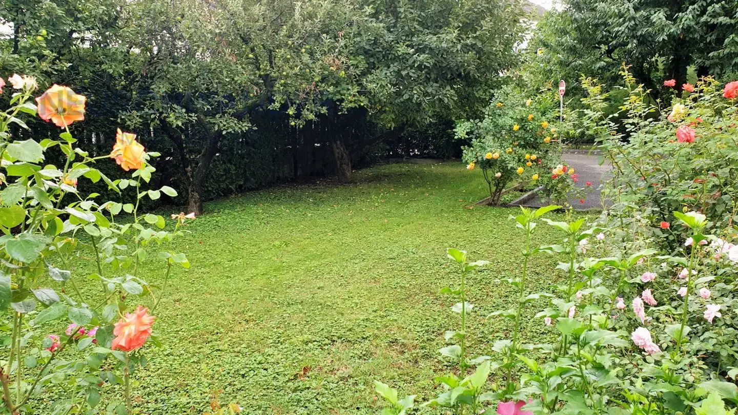 Appartamento in affitto - 2800 Delémont - Photo 4