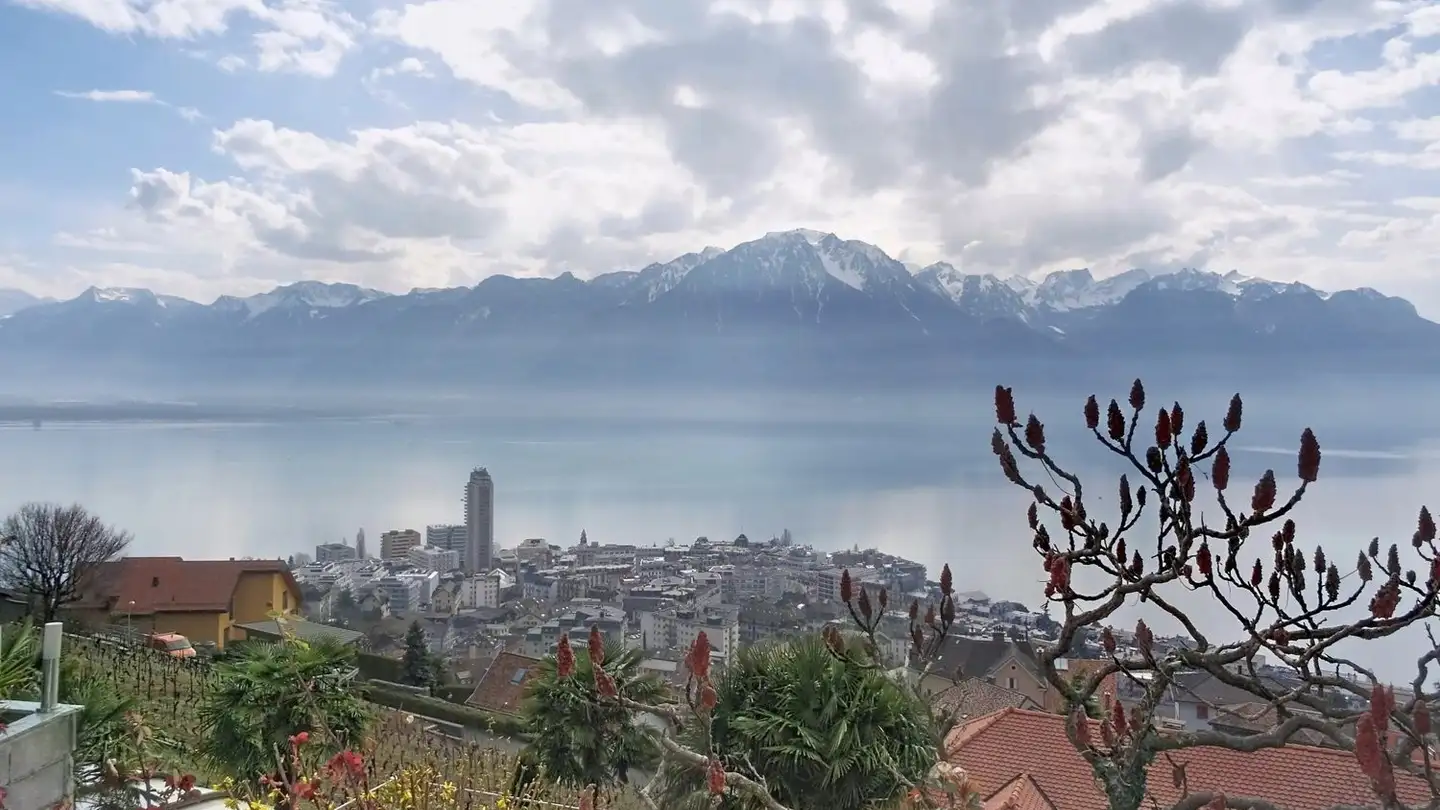 Maison individuelle à louer - Chemin De La Boriodaz 36, 1820 Montreux
