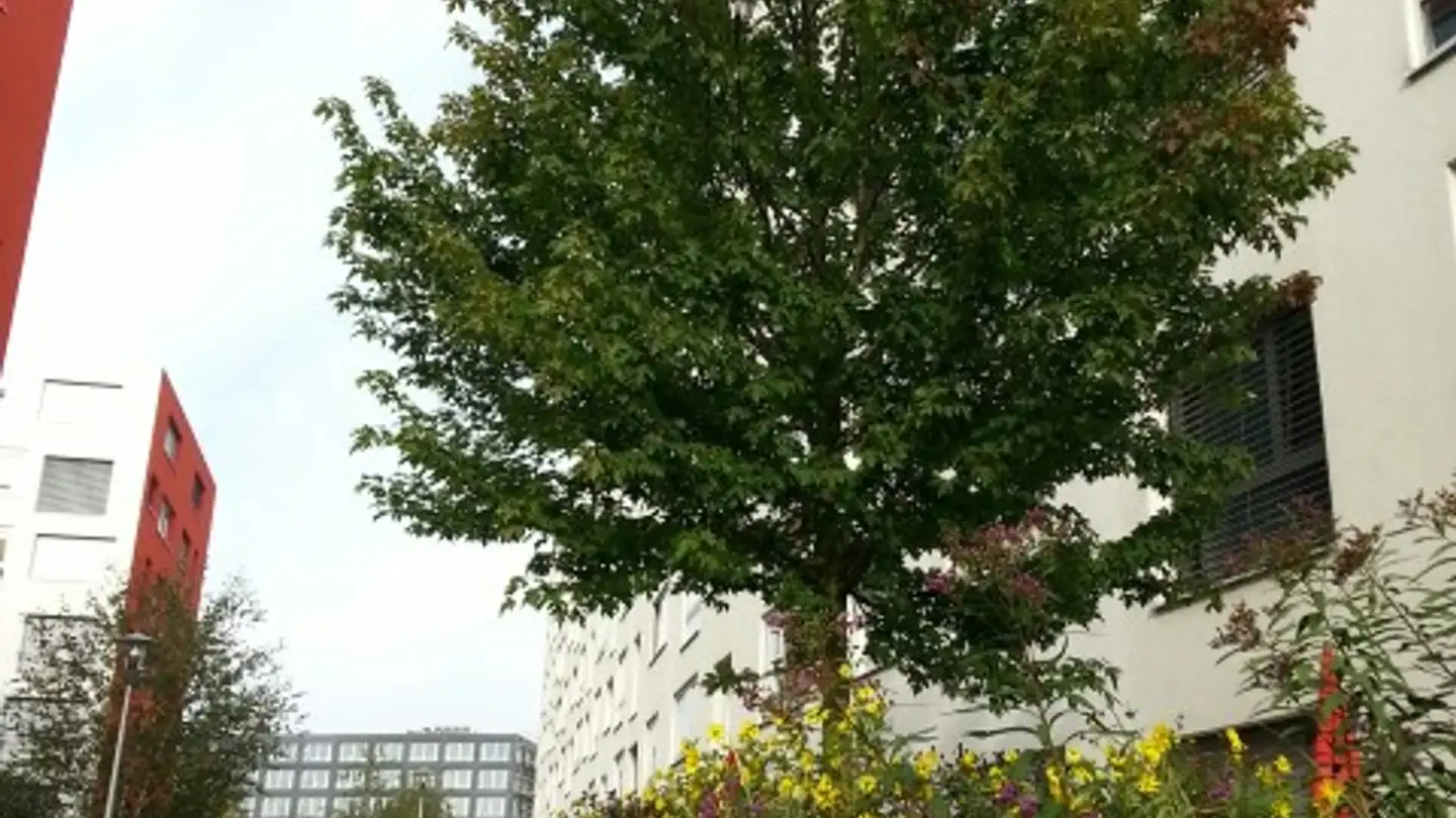 Apartment for rent - Earhart-Strasse 3, 8152 Glattpark (Opfikon)