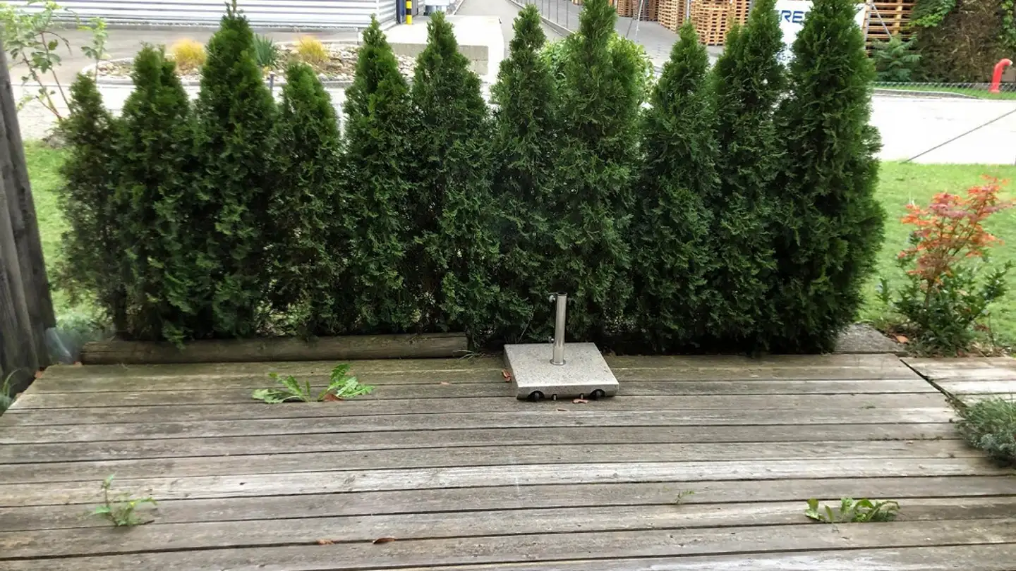 Appartamento in affitto - Wiesentalstrasse 45, 8355 Aadorf - Photo 4