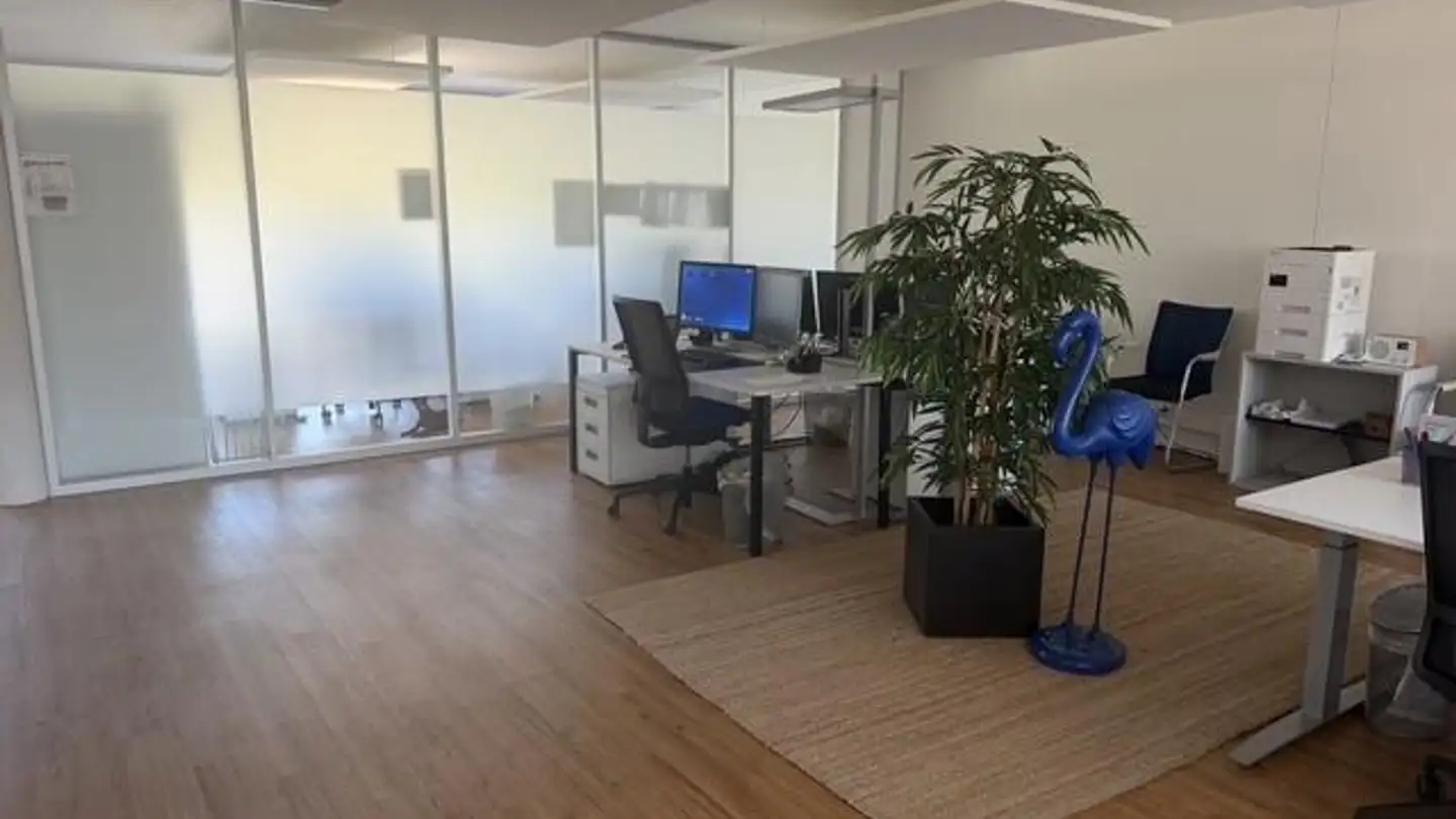 Bürofläche mieten - Riedhofstrasse 67, 8408 Winterthur - Foto 2