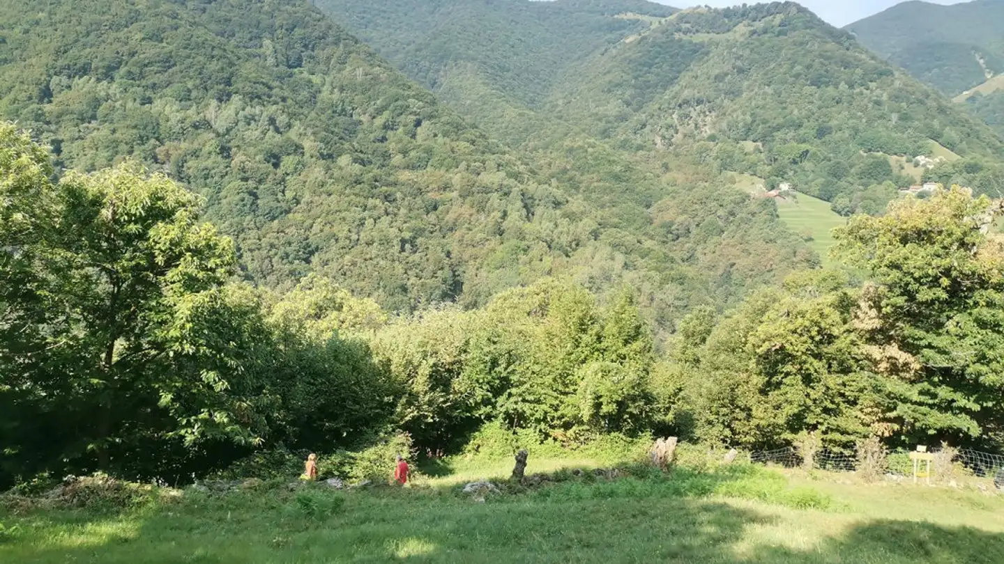 Terreno edificabile in vendita - 6838 Cabbio - Photo 3