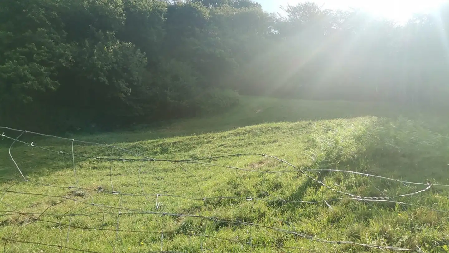 Terreno edificabile in vendita - 6838 Cabbio - Photo 4