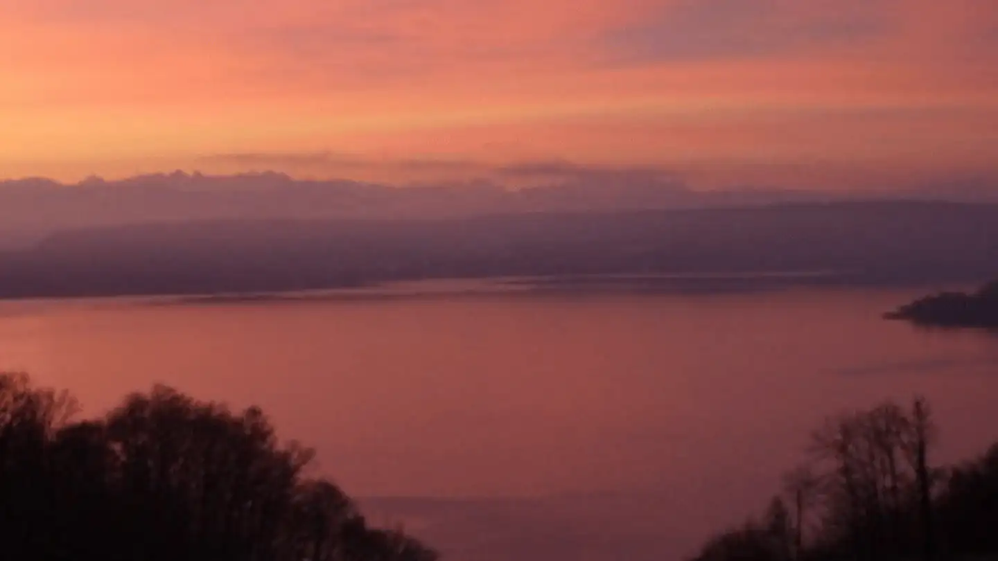 Penthouse mieten - Mittleri Chros, 2513 Twann