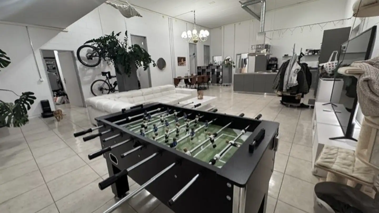 Loft in affitto - Seegartenstrasse 10, 8353 Elgg - Foto 4