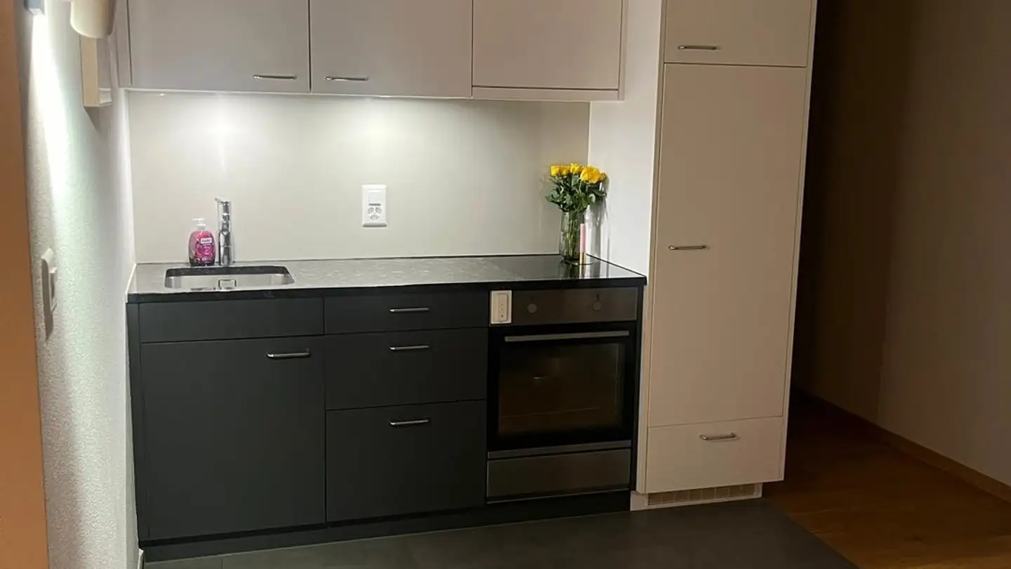 Appartamento in affitto - Zieglerstrasse 36, 3007 Bern - Foto 3