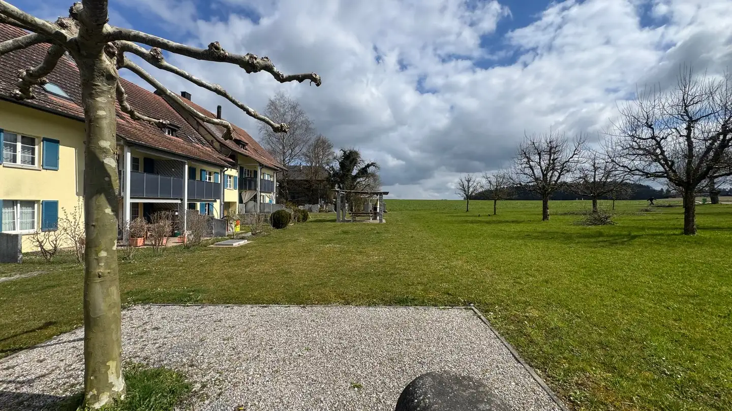 Mehrfamilienhaus kaufen - 8545 Rickenbach Sulz - Foto 4