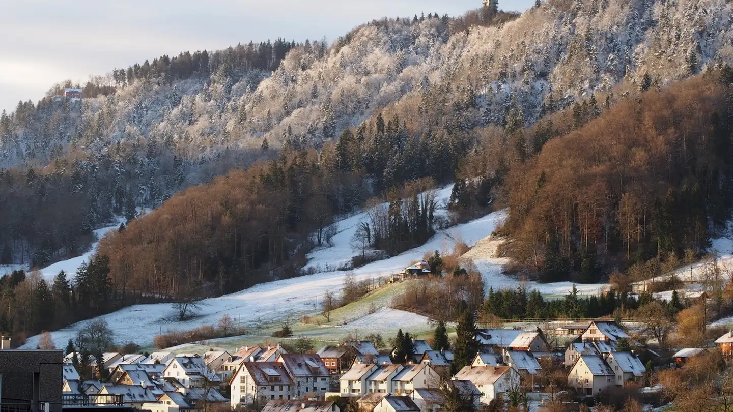 Stanza singola in affitto - Leimbachstrasse 215, 8041 Zürich - Foto 2