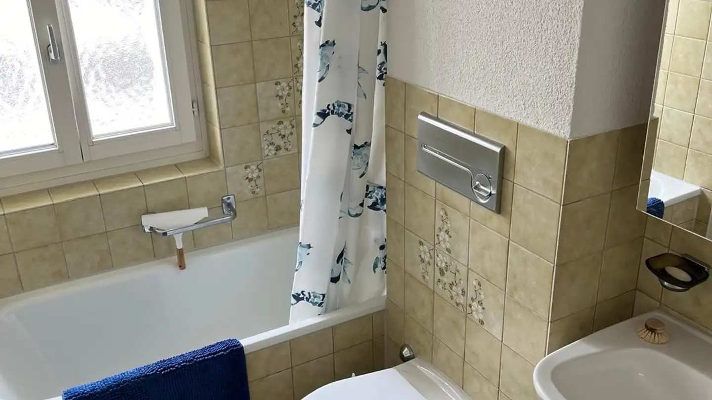Chambre à louer - Badenerstrasse 640, 8048 Zürich - Photo 3