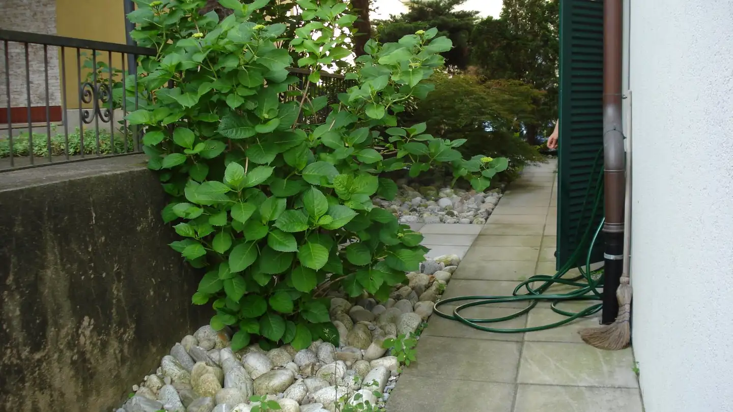 Appartement à louer - Via Calprino 5, 6900 Paradiso - Photo 4