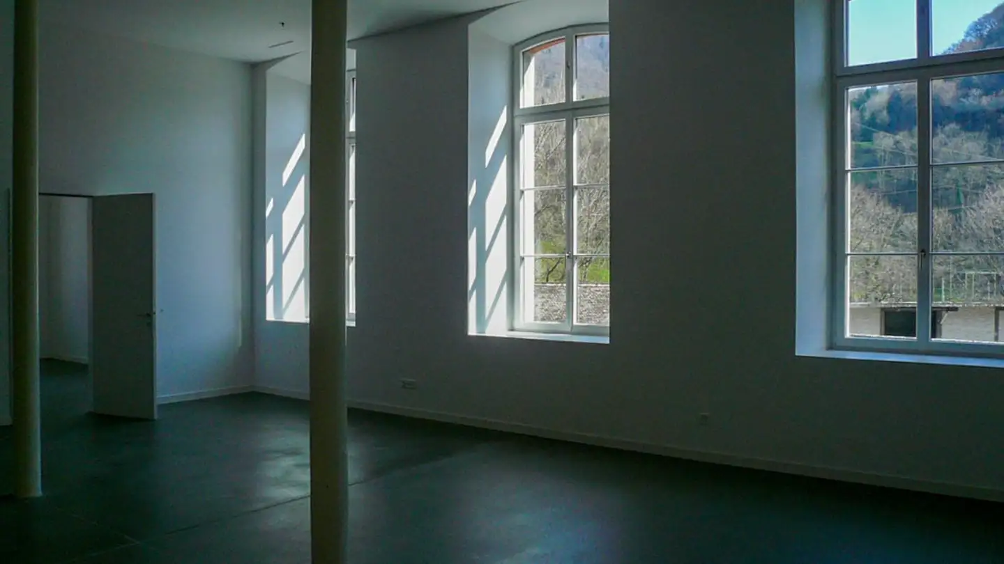 Loft for rent - Spinnereistrasse 8, 8866 Ziegelbrücke - Photo 4