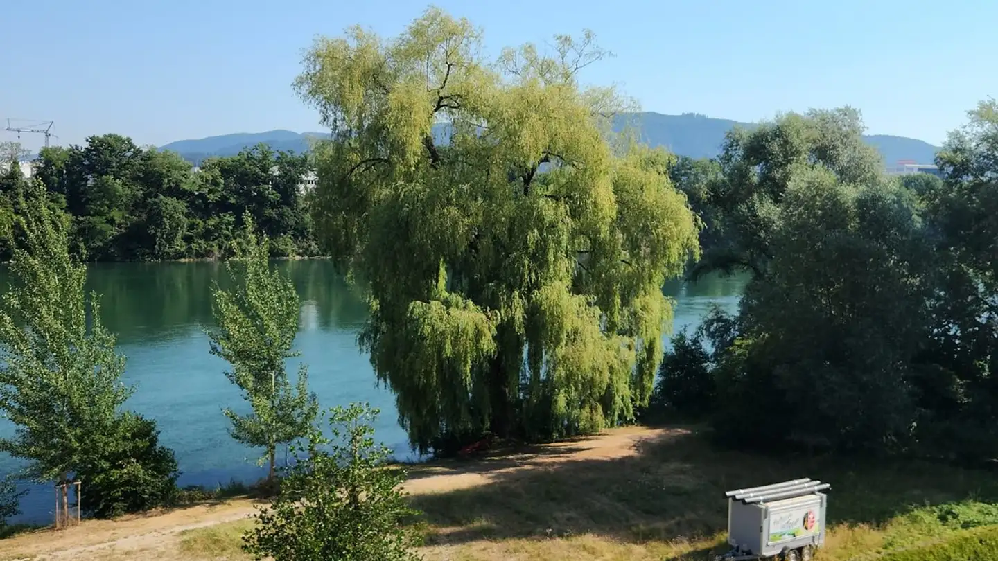 Appartamento in affitto - Flösserweg 10, 4322 Mumpf - Foto 2