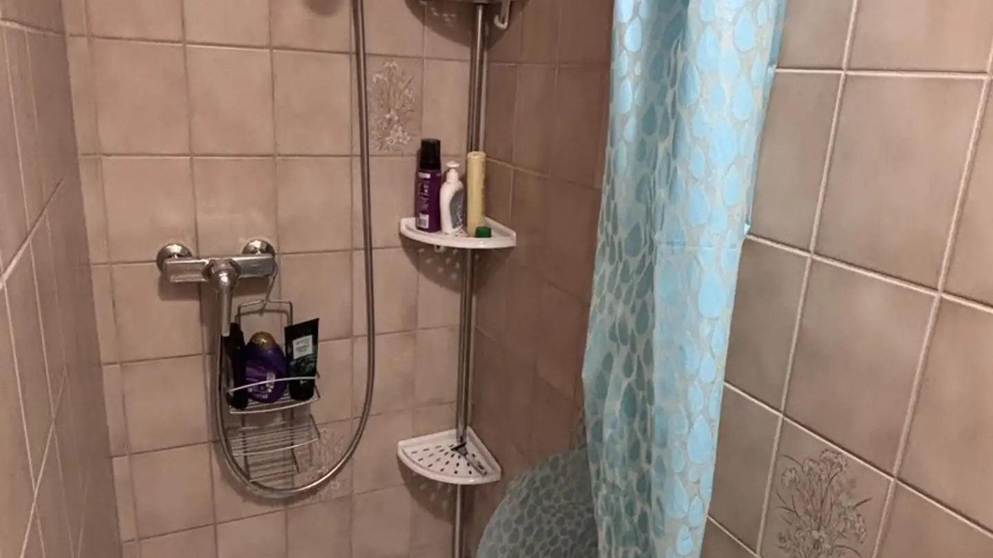 Appartamento in affitto - Loostrasse 23, 8803 Rüschlikon - Foto 4