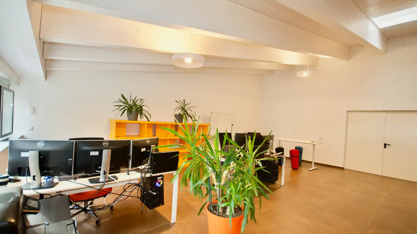 Bürofläche kaufen - 6532 Castione - Foto 3