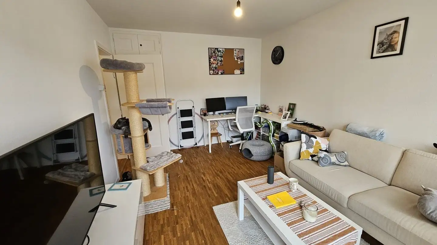 Appartamento in affitto - Zelgstrasse 7, 3027 Bern - Foto 3