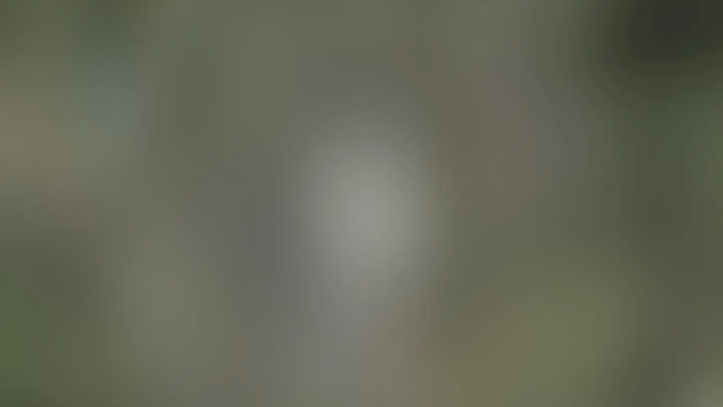 Casa singola in vendita - 9500 Wil SG