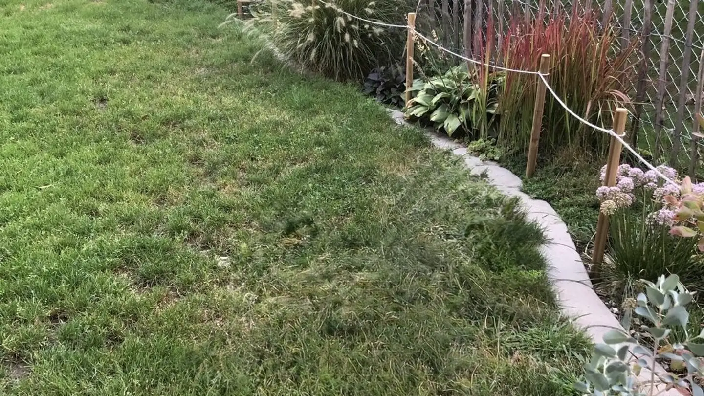 Casa singola in affitto - 5034 Suhr - Foto 4