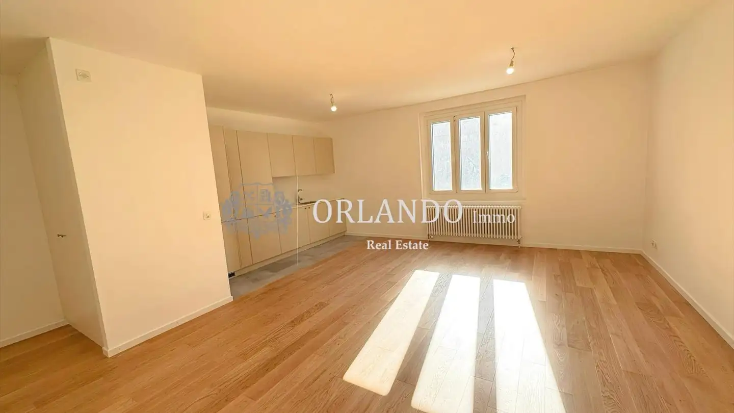 Appartamento in affitto - 1227 Carouge GE - Photo 3