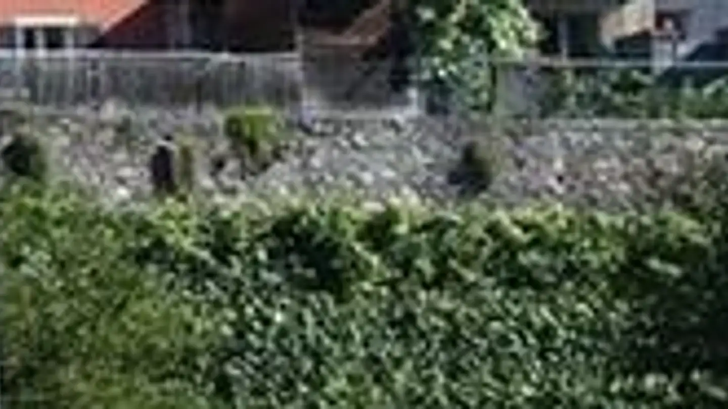 Maison en terrasse à louer - Via Ricciadino, 6518 Gorduno