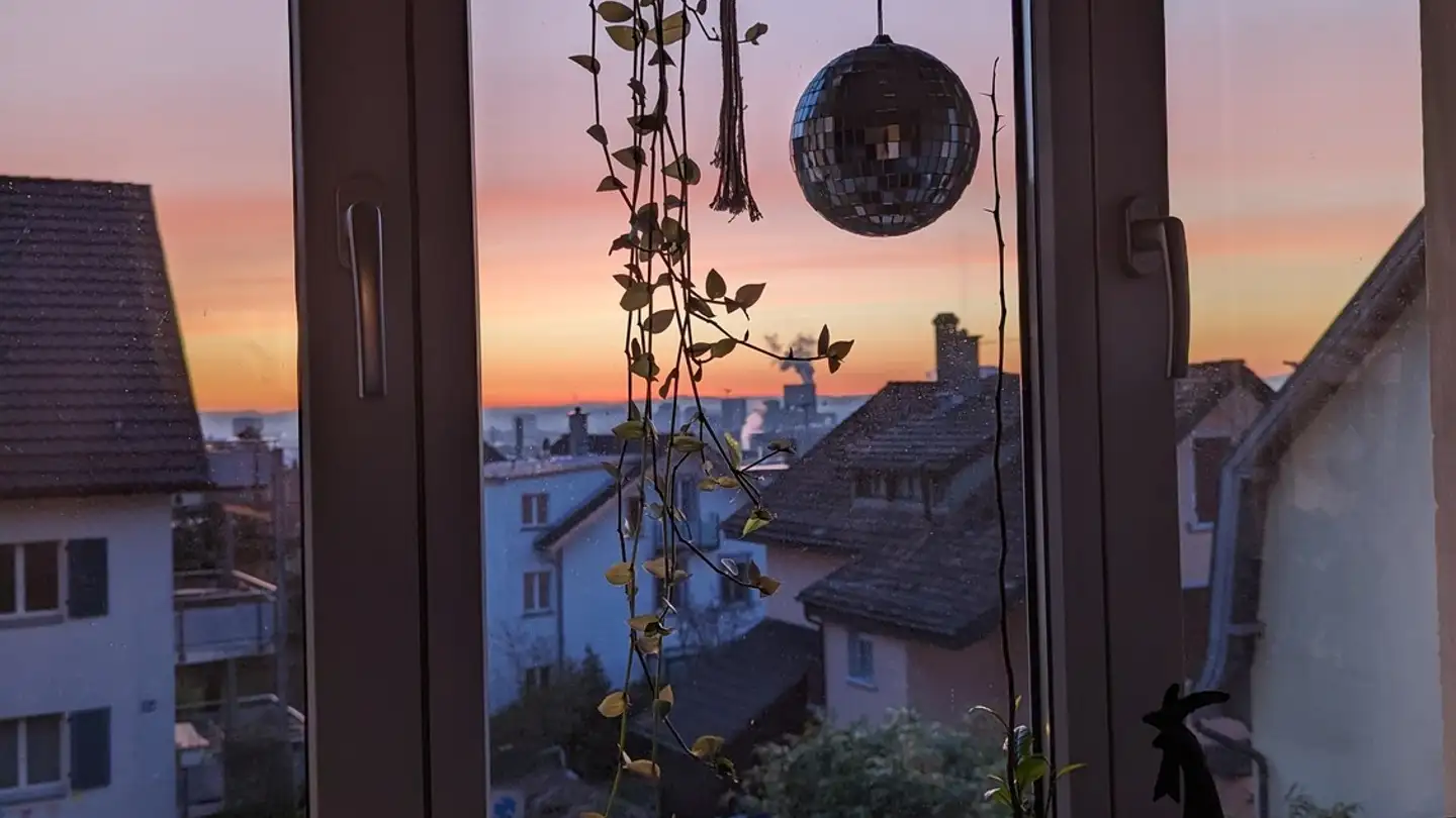 Stanza singola in affitto - Käferholzstrasse 256, 8046 Zürich - Foto 3