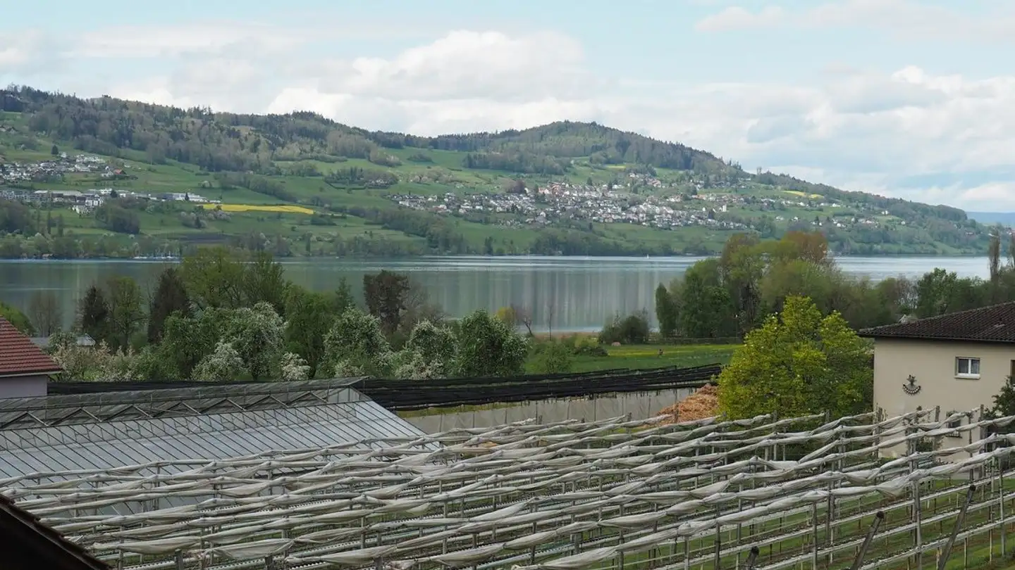 Appartamento in affitto - Alemannenweg 3, 6287 Aesch LU - Foto 4