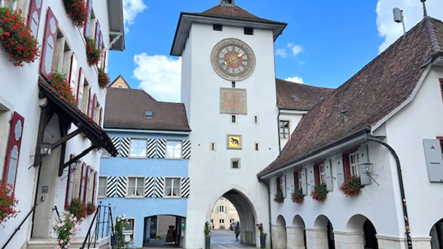 Terrain constructible à vendre - Röschenzstrasse, 4242 Laufen