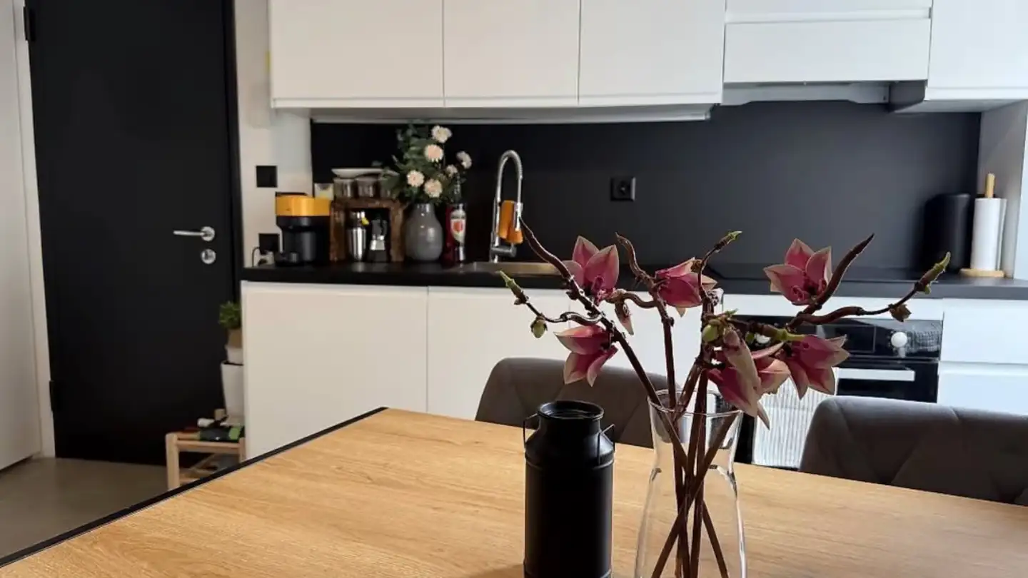 Appartement à louer - Ra Müs'cia 4, 6986 Novaggio