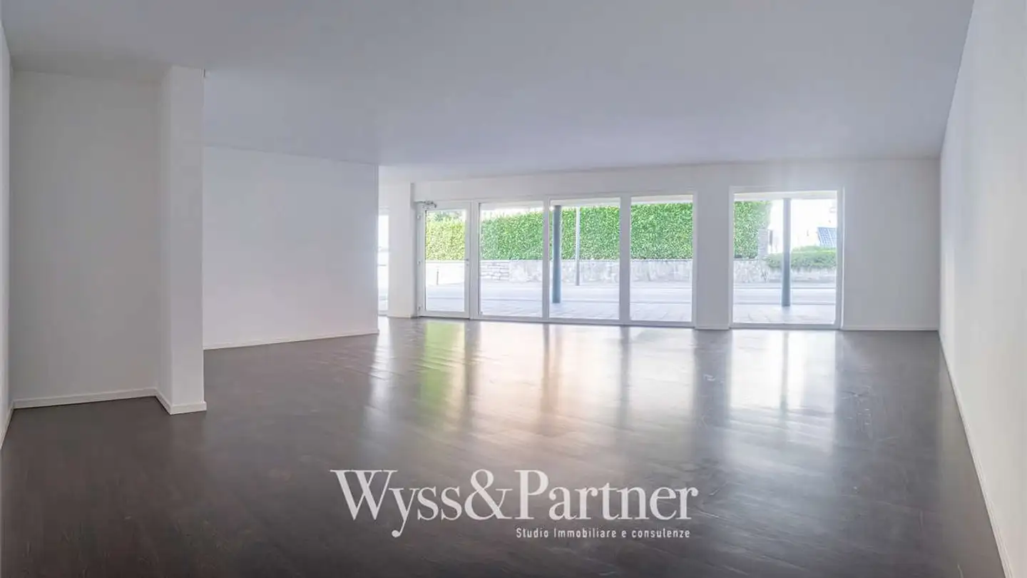 Shop for sale - 6598 Tenero - Photo 4