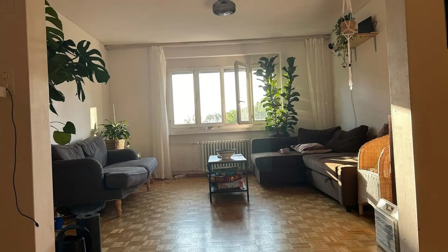 Wohnung mieten - Agnesstrasse, 8004 Zürich - Foto 2