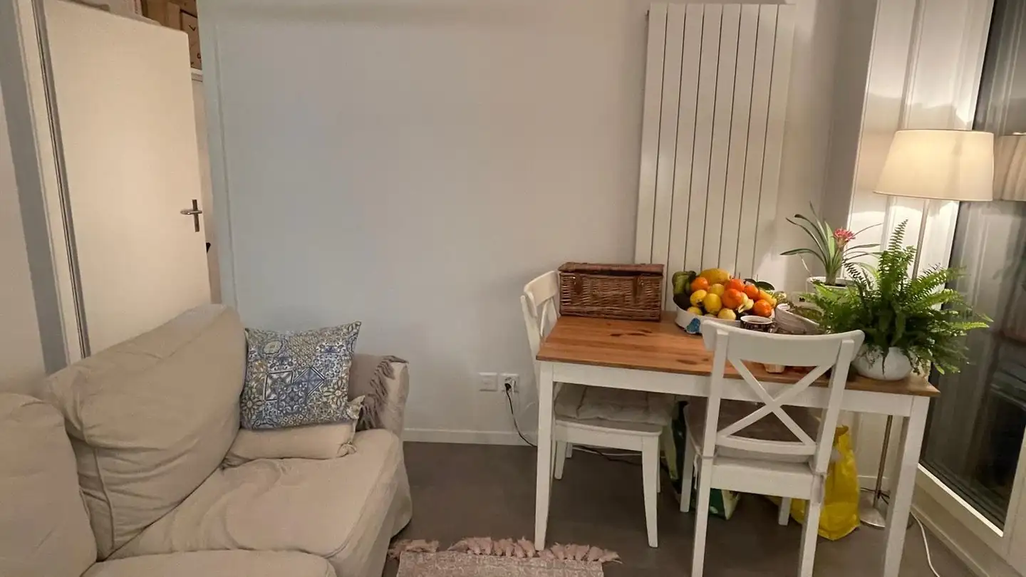 Apartment for rent - Haldenbachstrasse 21, 8006 Zürich - Photo 3