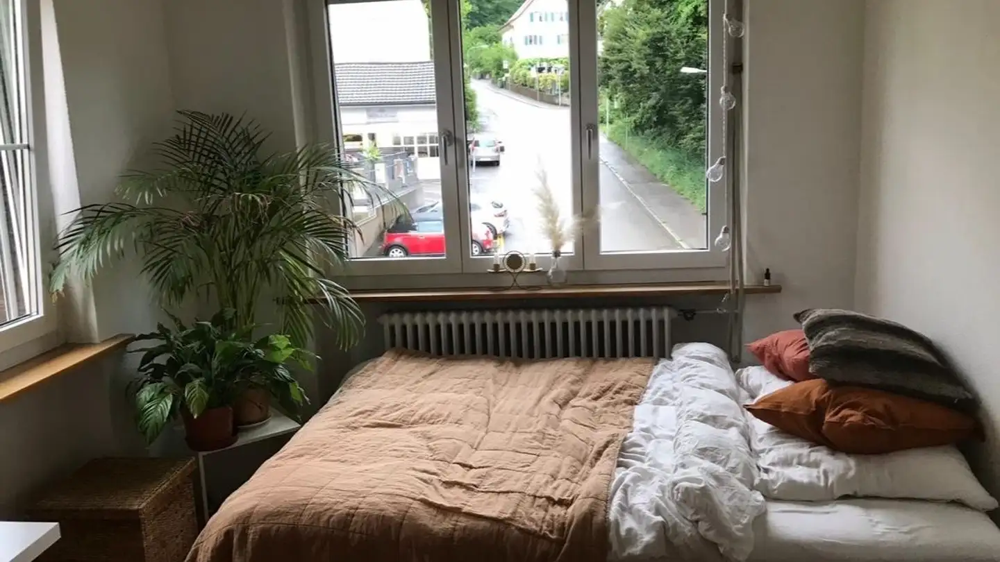 Stanza singola in affitto - 8046 Zürich