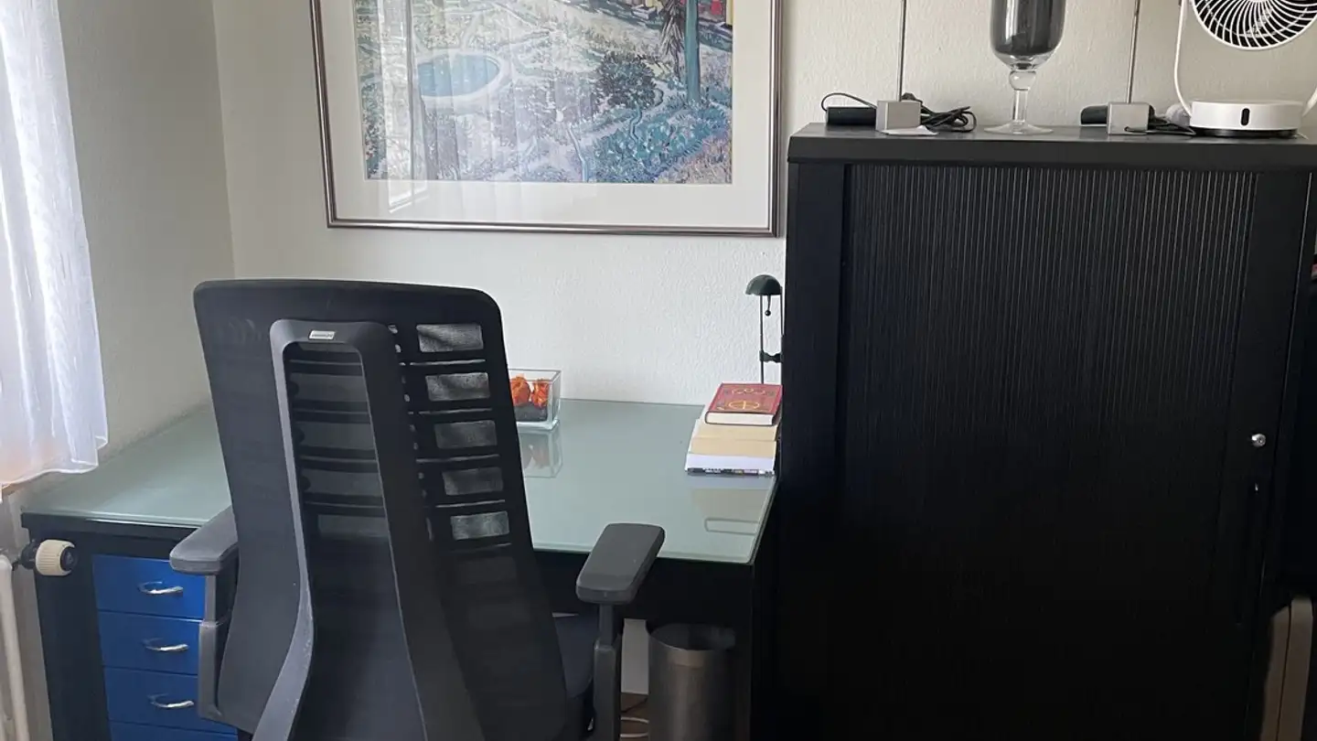 Single room for rent - 8706 Meilen - Photo 2