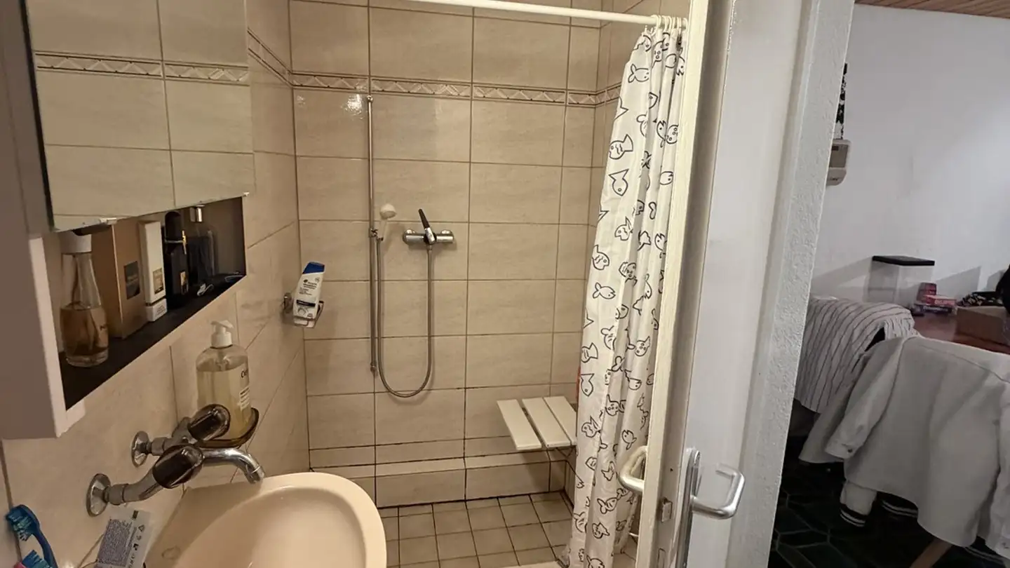 Wohnung mieten - 8810 Horgen - Foto 2