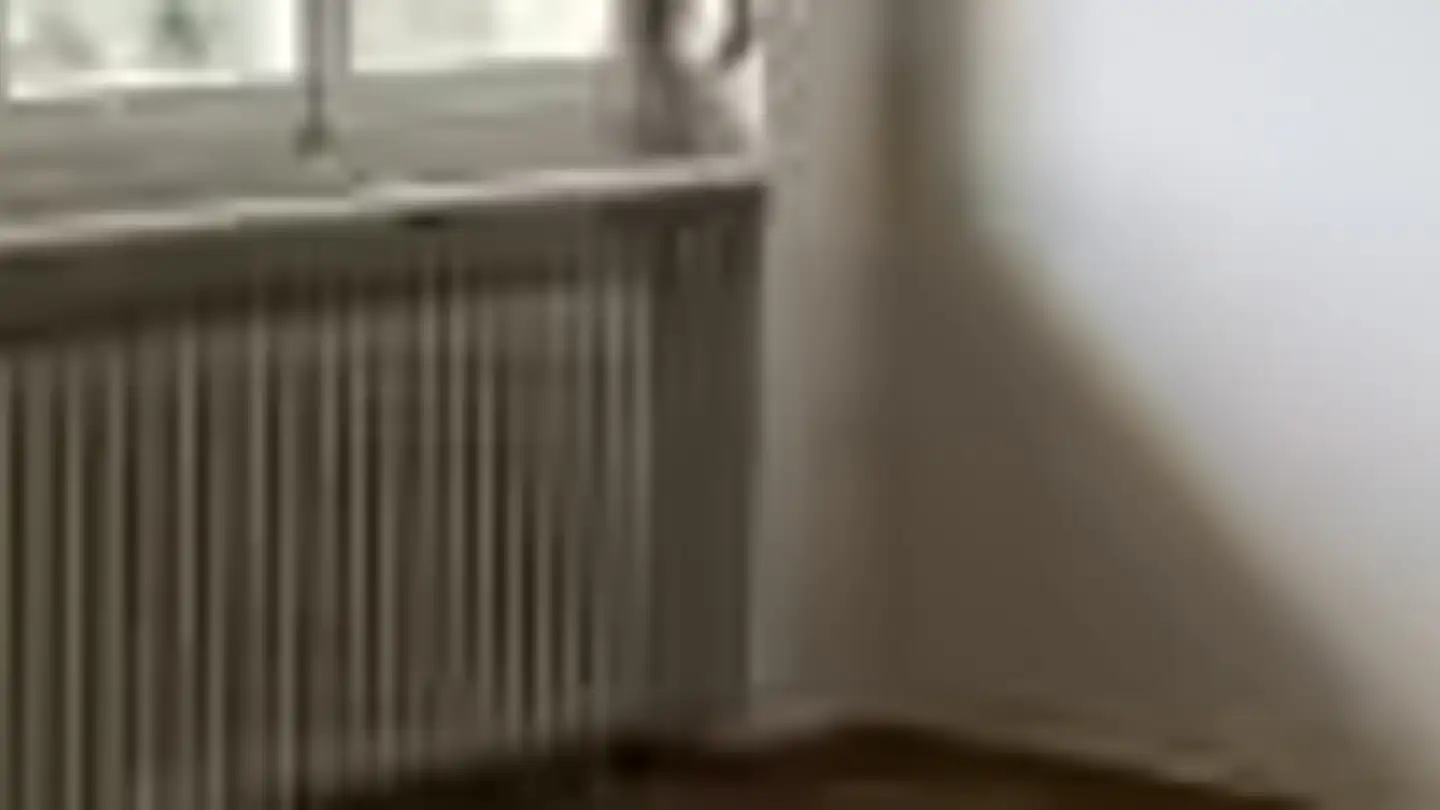 Wohnung mieten - Schöngrünstrasse 25, 4500 Solothurn - Foto 3