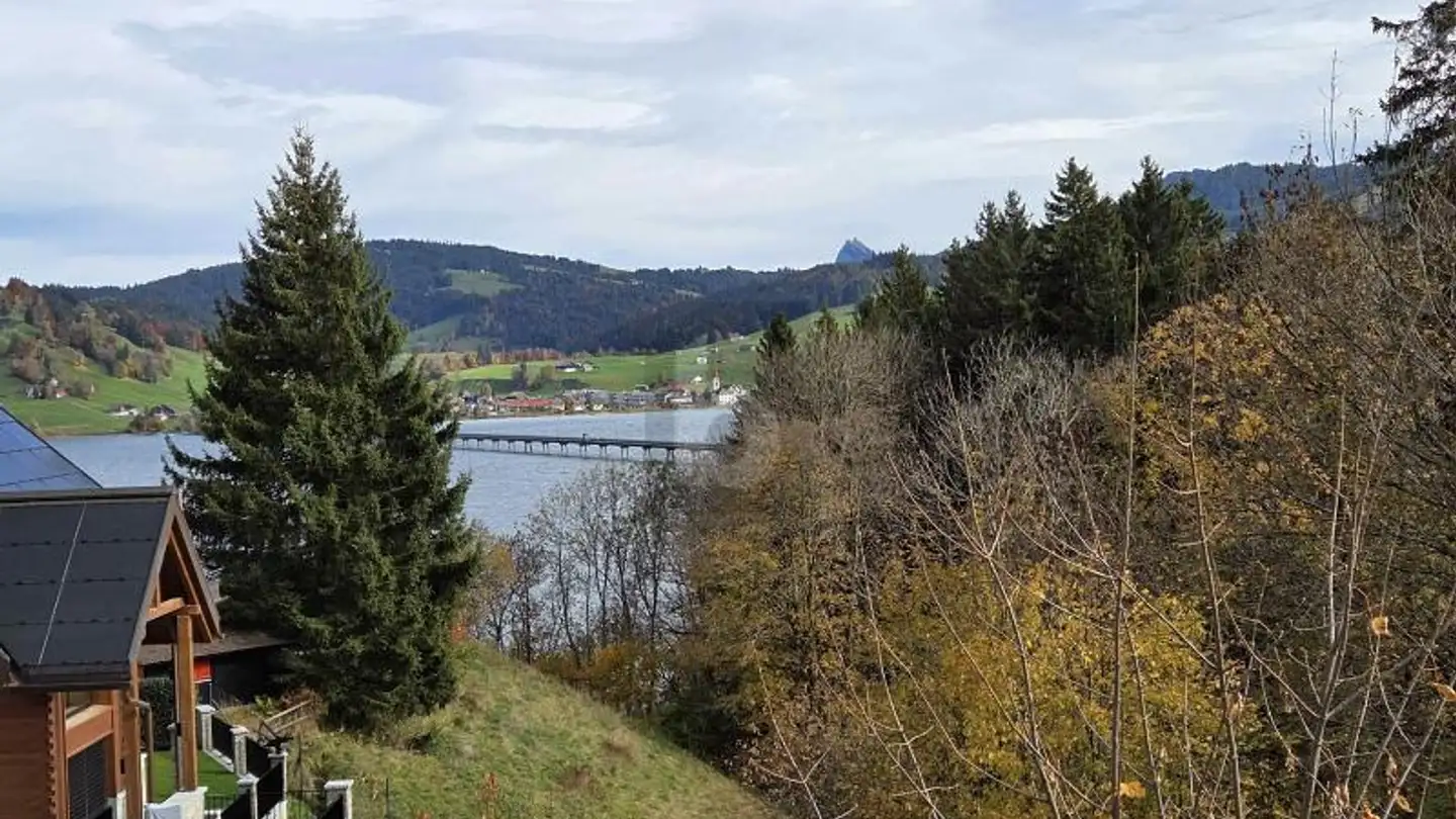 Maison individuelle à louer - 8840 Einsiedeln