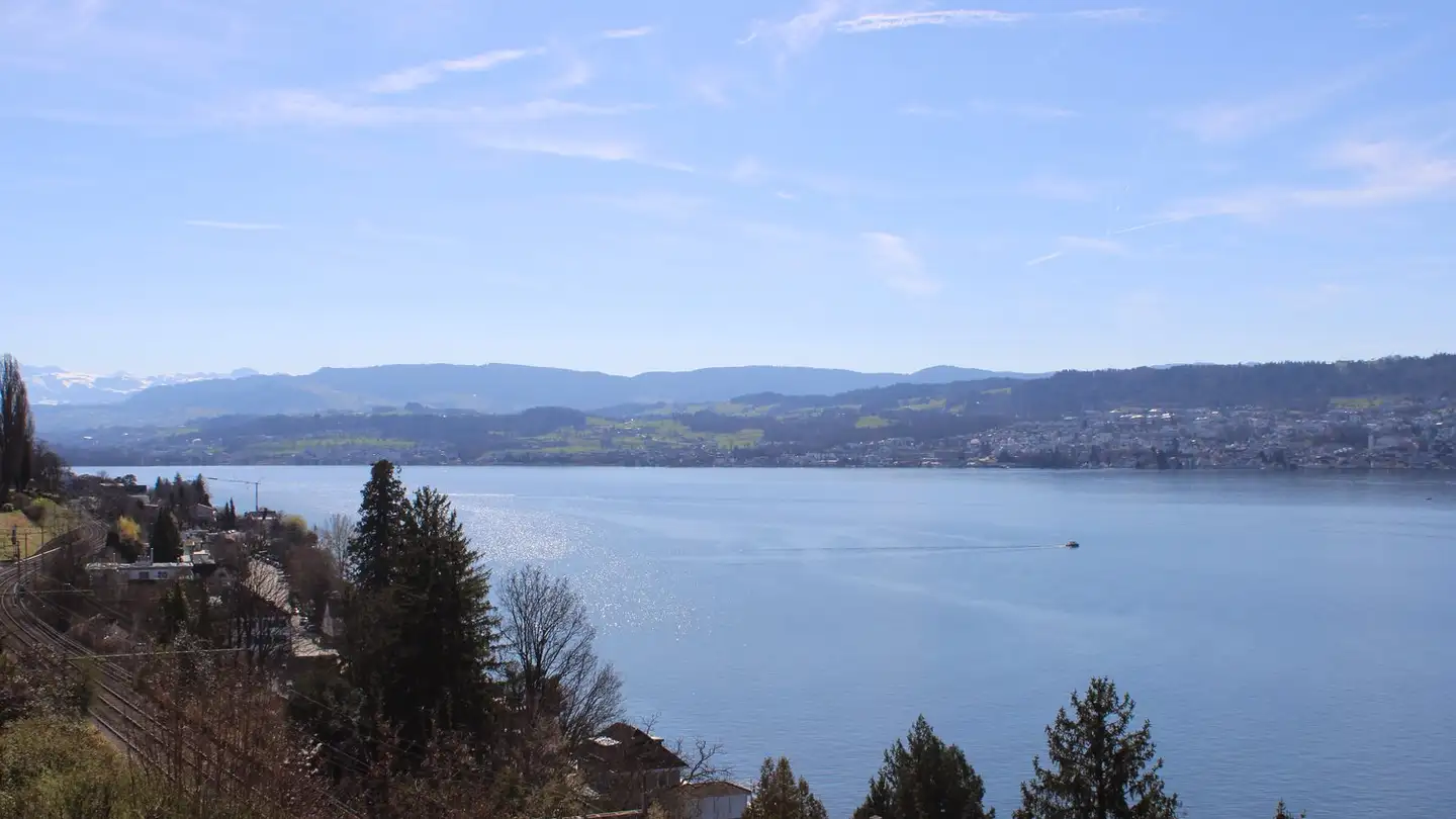 Appartamento in affitto - Vordergrüt 22, 8704 Herrliberg - Foto 2