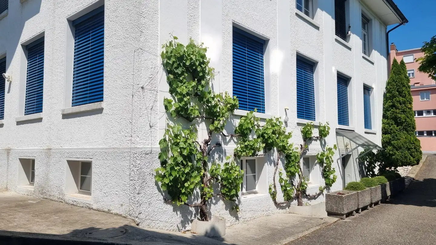 Bürofläche mieten - Mühlegasse 10, 4600 Olten - Foto 4
