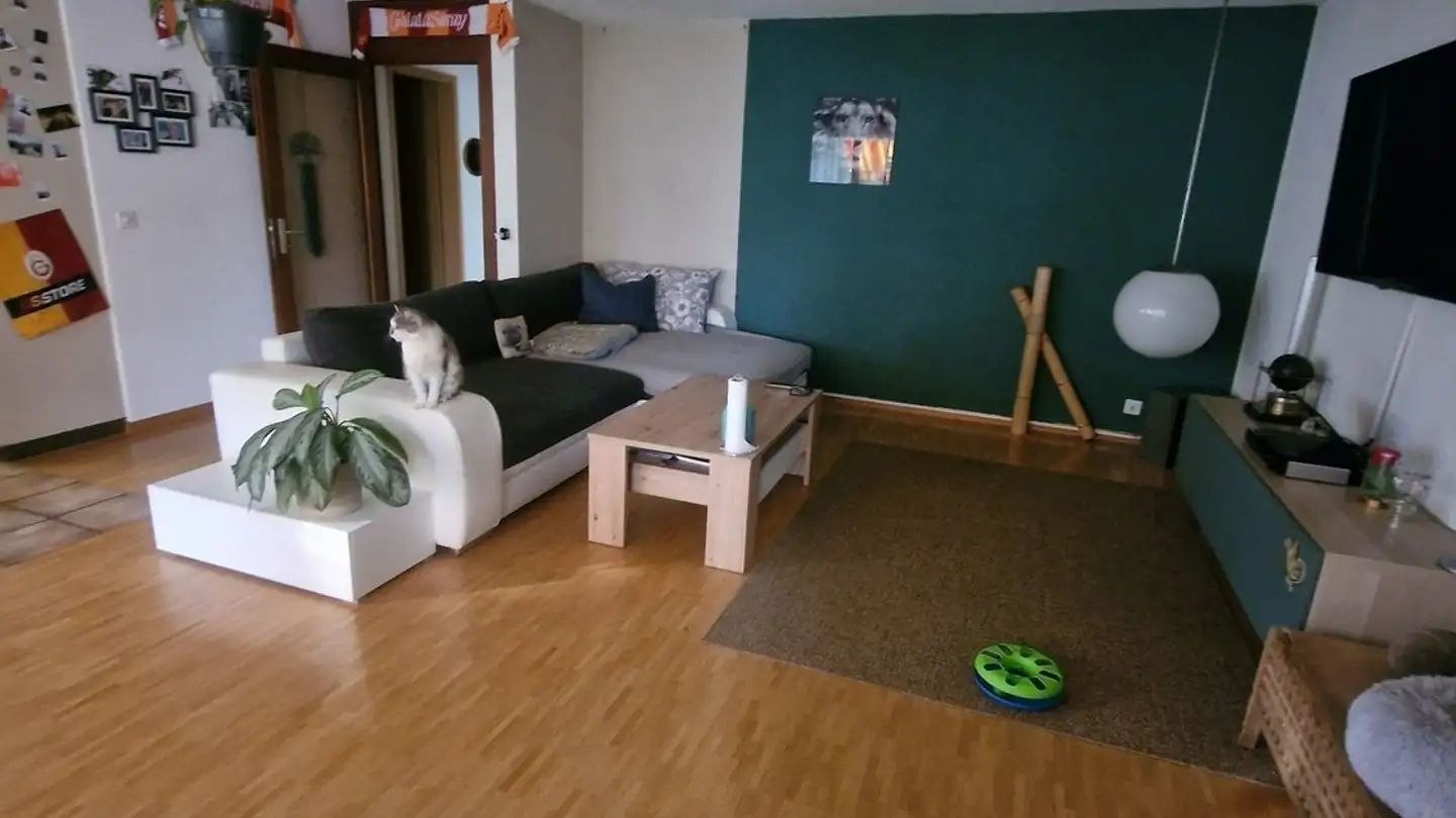 Apartment for rent - 3422 Rüdtligen